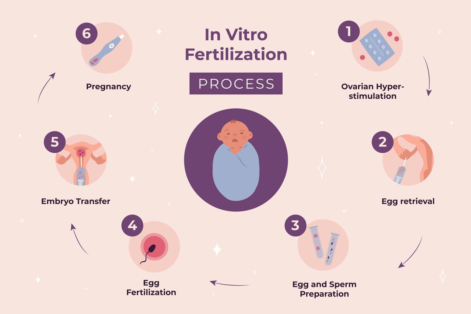 IVF Procedure Step By Step